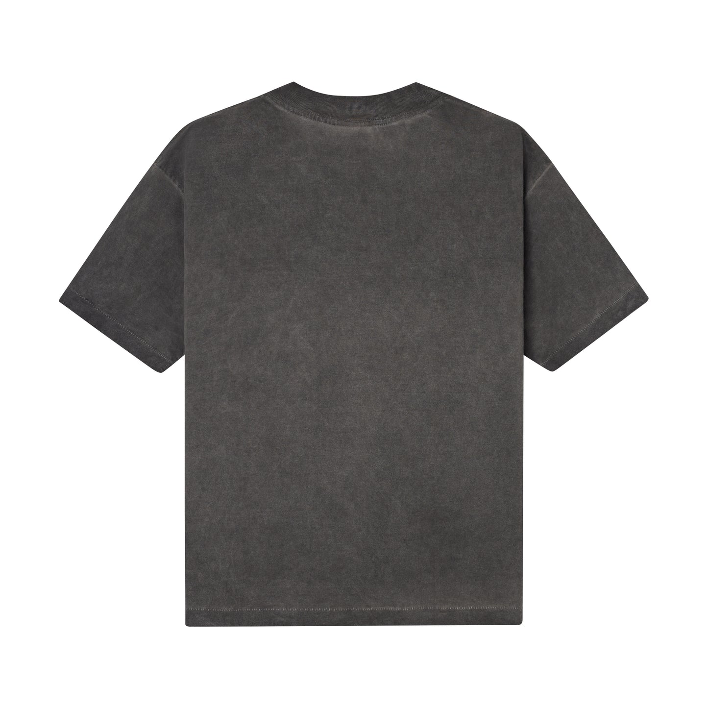 DREEAM SINGLE STITCH WASHED  T - SHIRTS